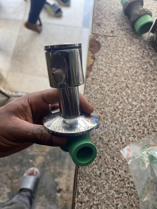 Turkey PPR Chrome Valve