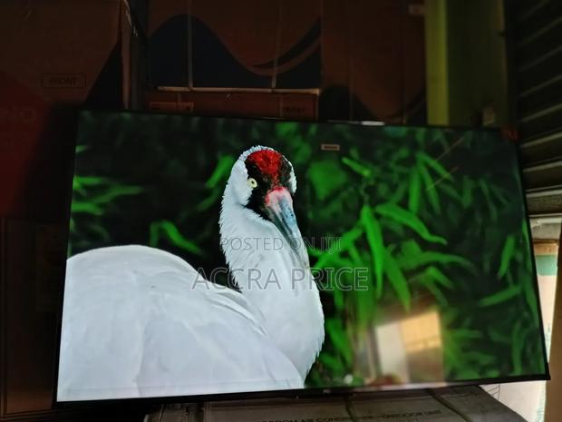 Happiness at Last Tcl55 · Photo 3