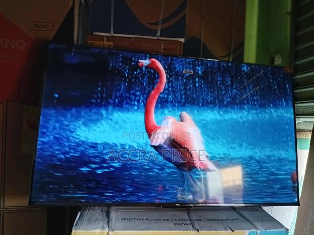 Happiness at Last Tcl55 · Photo 4