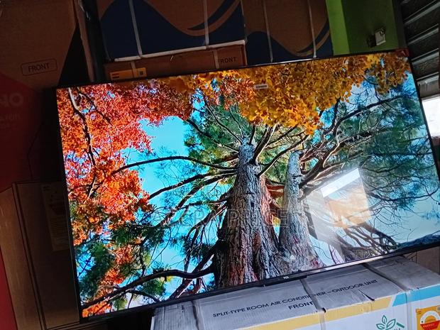 Rainbow Classic Tcl55 · Photo 3