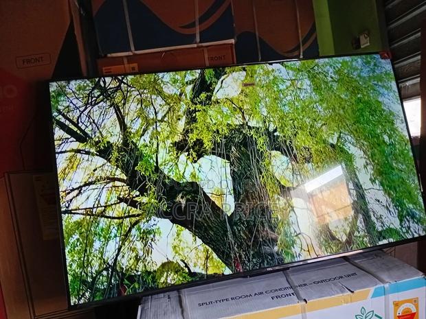 Rainbow Classic Tcl55 · Photo 4
