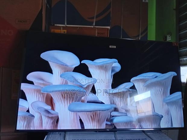 Netflix and Chill Tcl55 · Photo 3