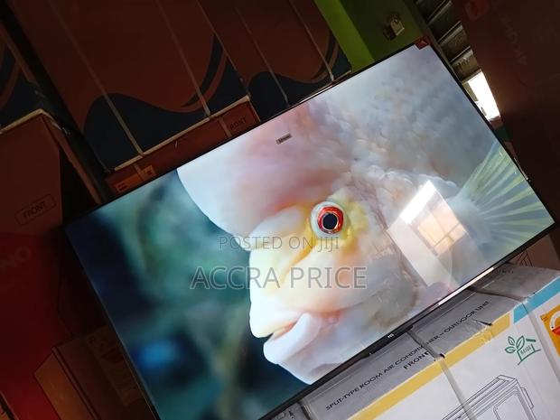 Real Aquatic View 55tcl · Photo 4