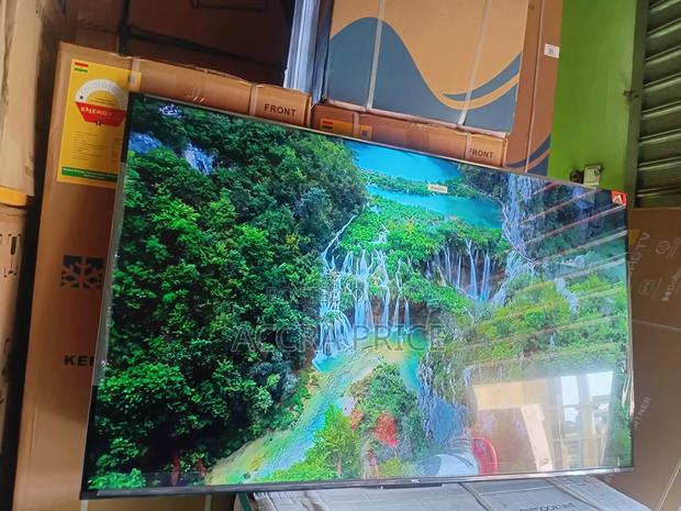 Epic Home Tourist Tcl65 · Photo 4