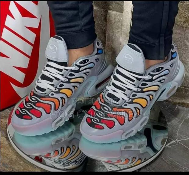 Nike Air Max Tn Plus Drift Grey Multicolor · Photo 3