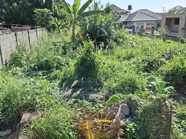 Half Plot Of Land For Sale photo 2