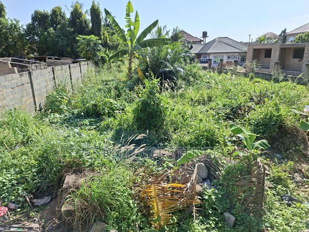 Half Plot Of Land For Sale photo 3