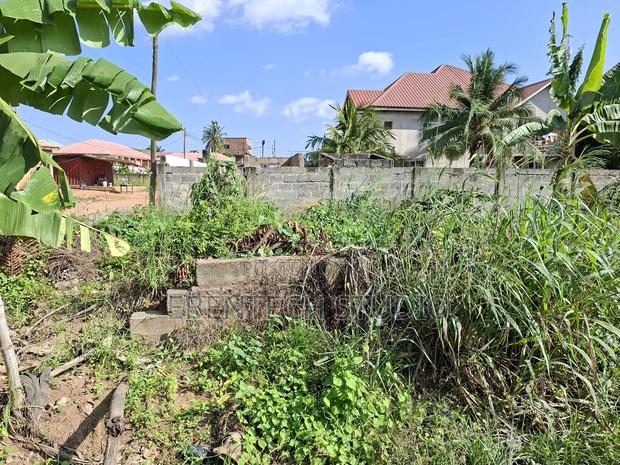 Half Plot Of Land For Sale photo 6