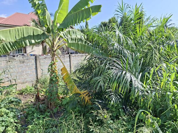 Half Plot Of Land For Sale photo 7
