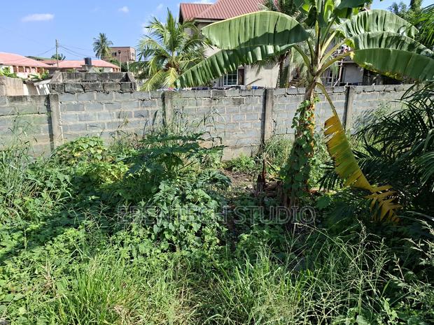Half Plot Of Land For Sale photo 8