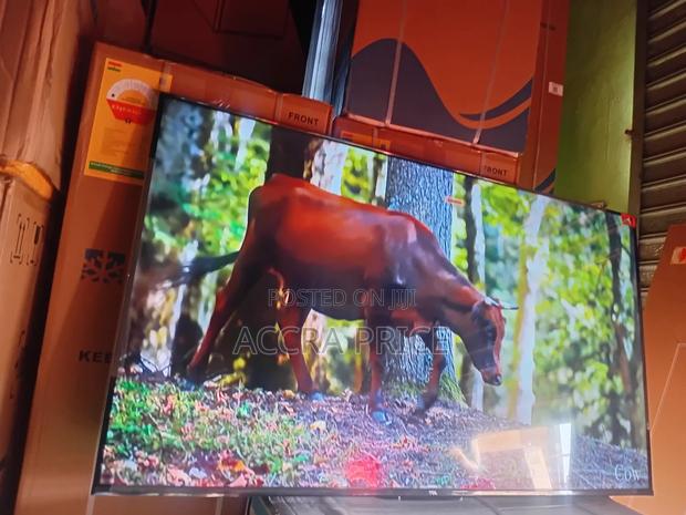 Quality With Professional Images Tcl55 · Photo 4