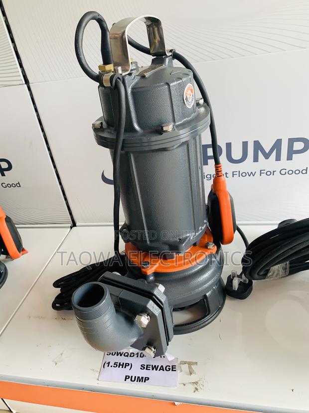 High Pressure Leo 2hp Sewage Pump · Photo 2