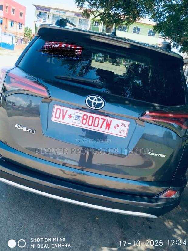 Toyota RAV4 Limited 4dr SUV (2.5L 4cyl 6A) 2018 Gray