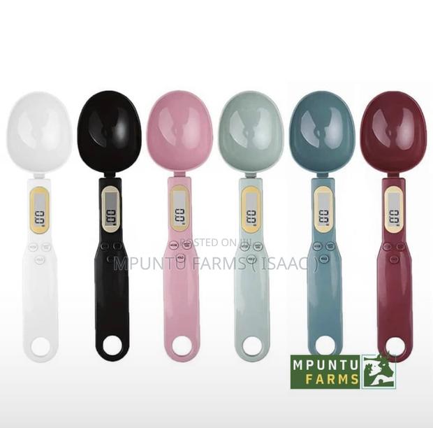 Spoon Scale 500g