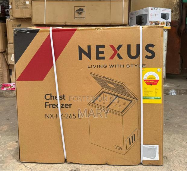 200 Liters Snowsea Chest Freezer and Novo Chest Freezer photo 2