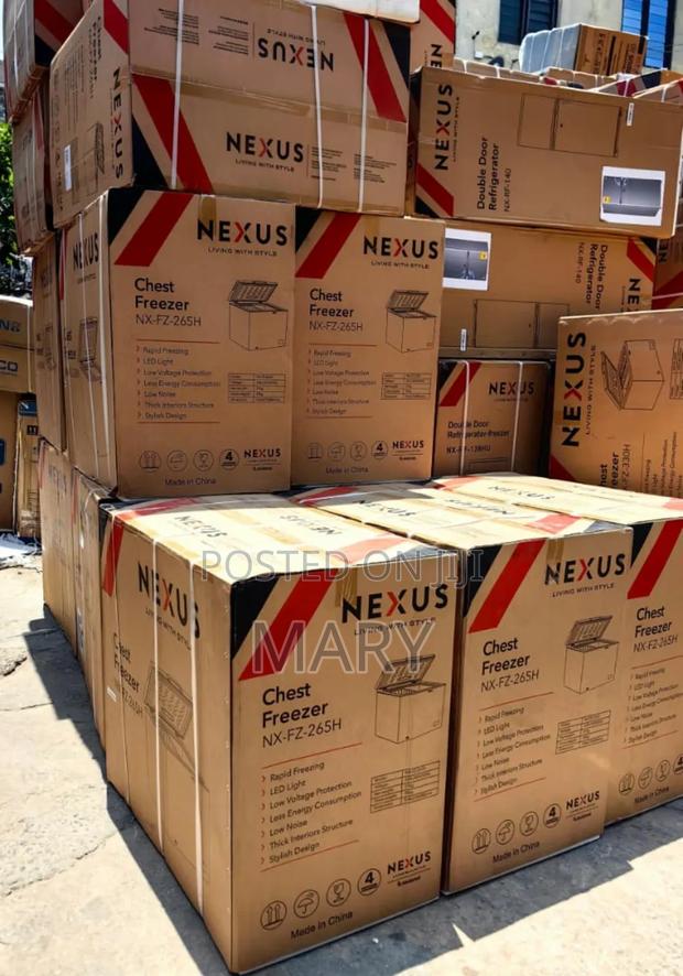 200 Liters Snowsea Chest Freezer and Novo Chest Freezer photo 3