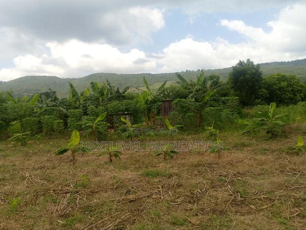 Titled Land for Sale at Ayikuma photo 4