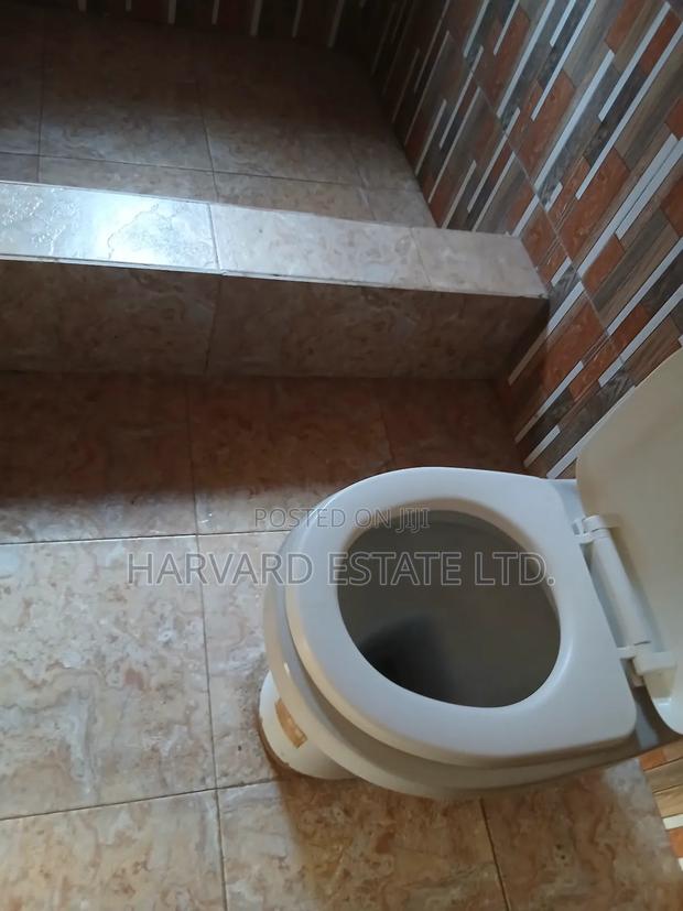 1bdrm Apartment in Tech Apemso Knust, Kumasi Metropolitan for rent photo 11