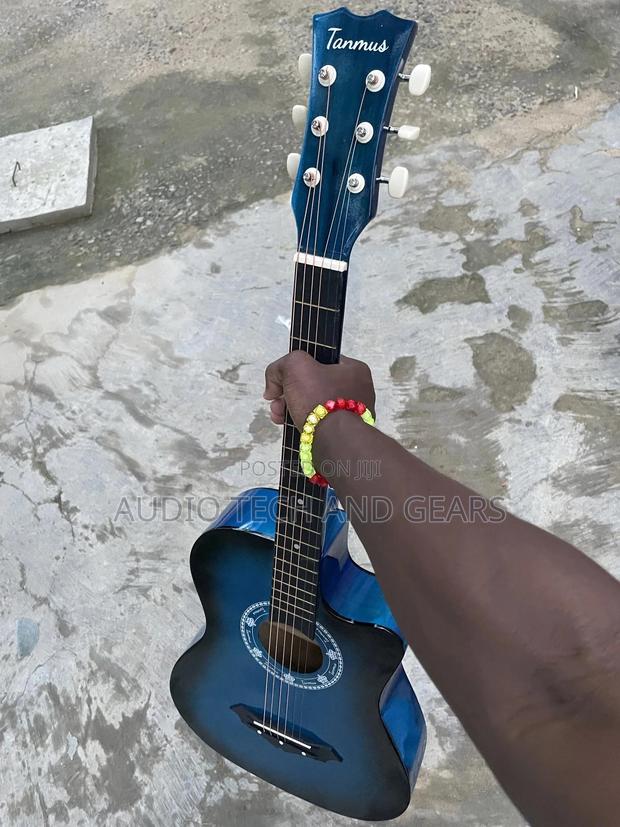 Tanmus Acoustic Guitar · Photo 1