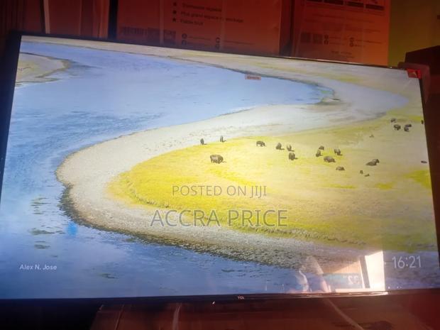 World's Pride Tcl55 · Photo 3
