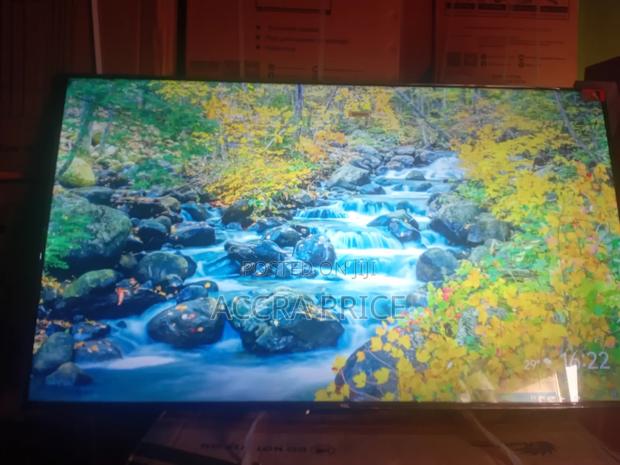 World's Pride Tcl55 · Photo 4