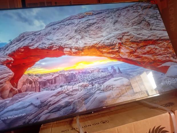 Big Daddy Choice Tcl55 · Photo 4