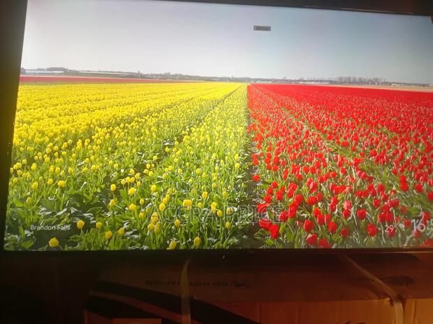 Simple Cost in Living Tcl55 · Photo 3