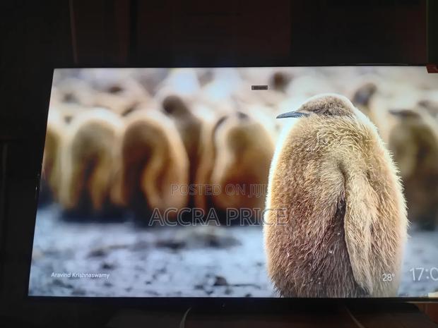 Star Mount Tcl55 · Photo 4
