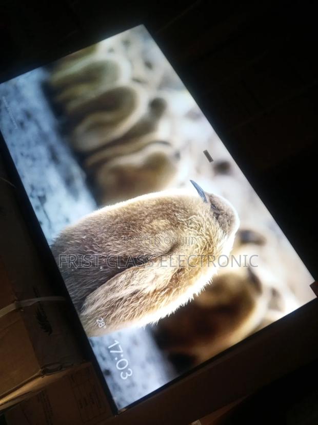 Tcl, Elevate Your Viewing Experience · Photo 3