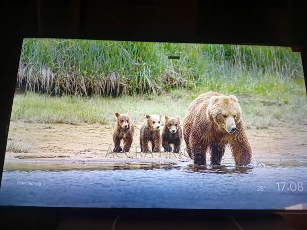 Non Tiring Brand Tcl55 · Photo 4