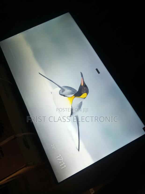 55" of Unparalleled Viewing · Photo 4
