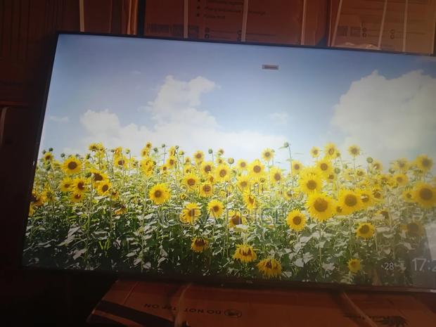 Smarter Crew Tcl55 · Photo 4