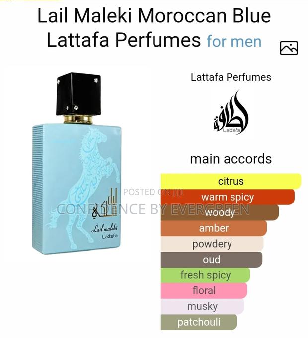 Lail Maleki Moroccan Blue