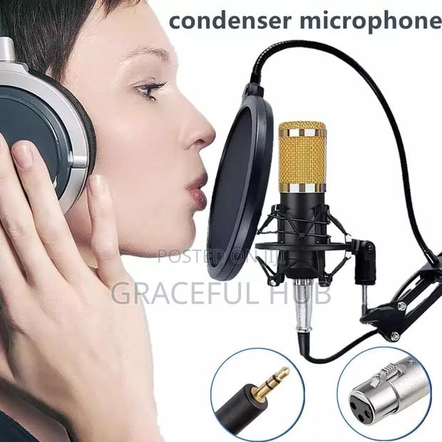 Condenser Microphone photo 2
