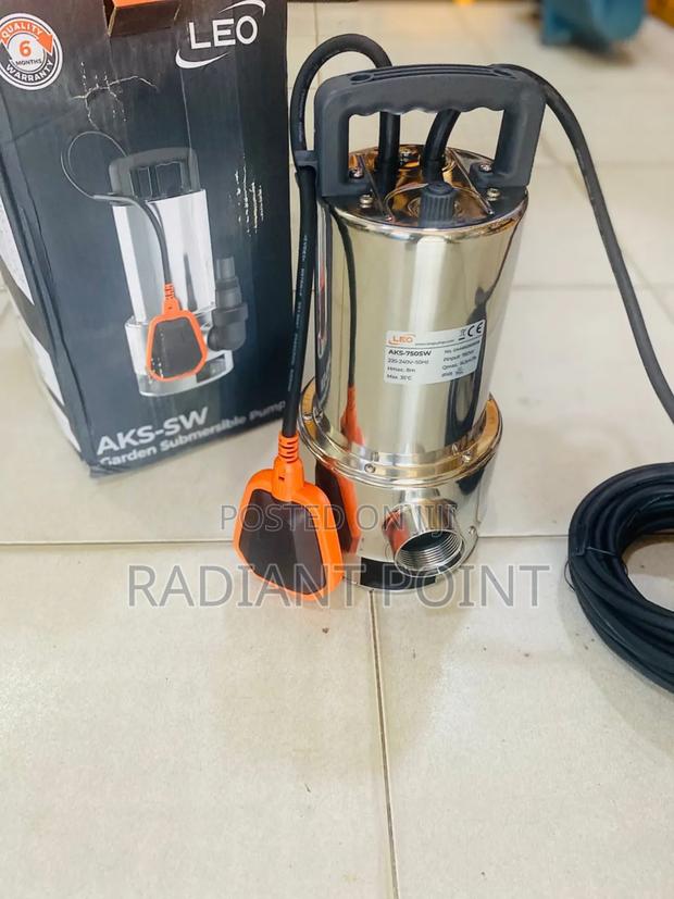 Leo Submersible Water Pump 1hp Stainless · Photo 2