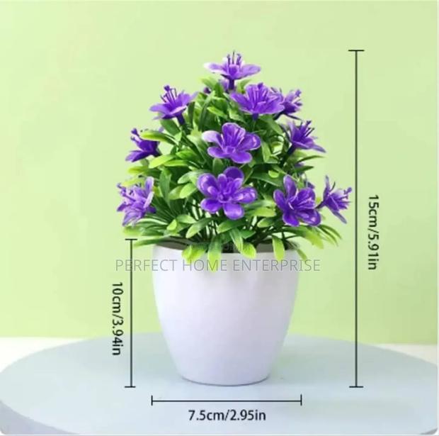 Pot Flowers