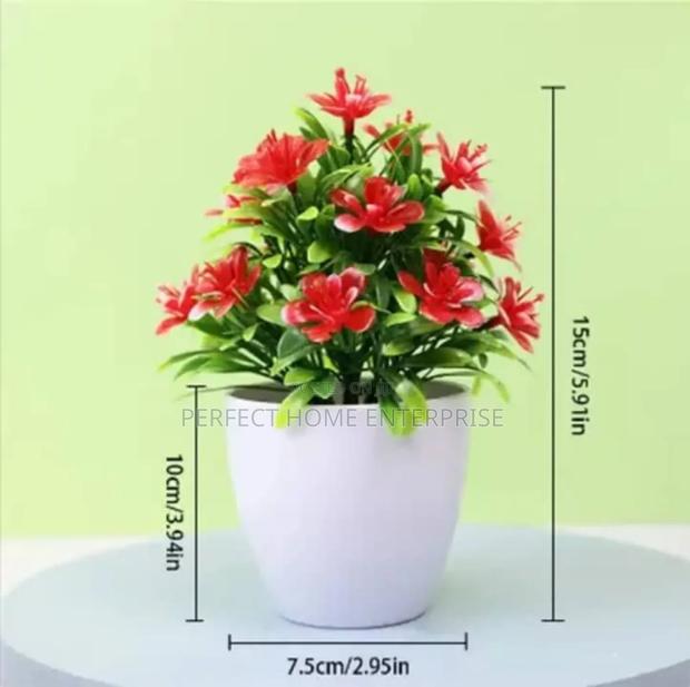 Pot Flowers photo 2