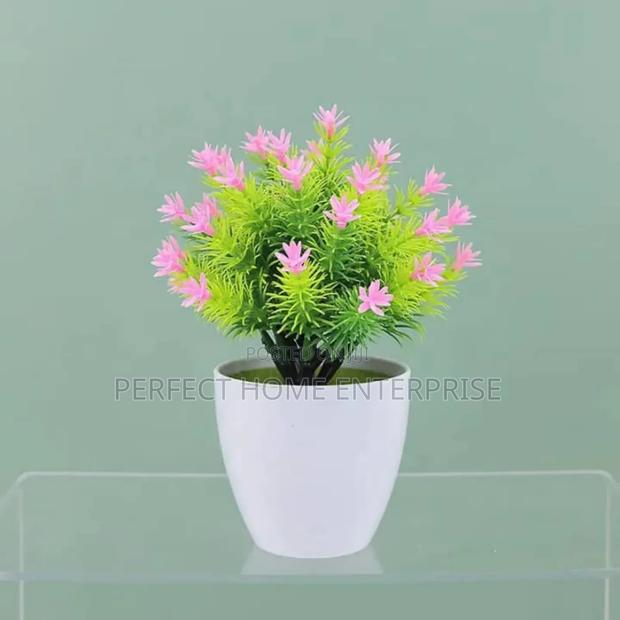Pot Flowers photo 3