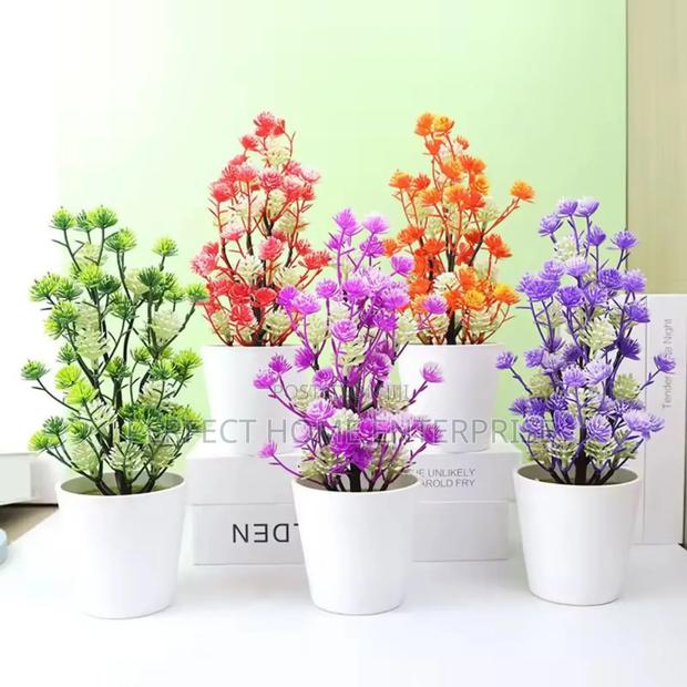Pot Flowers photo 4