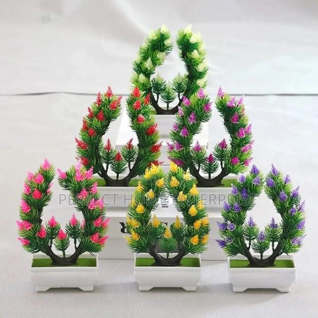 Pot Flowers photo 5