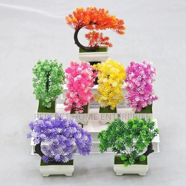 Pot Flowers photo 6