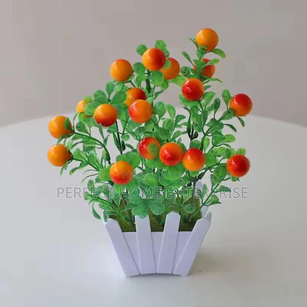 Pot Flowers photo 7