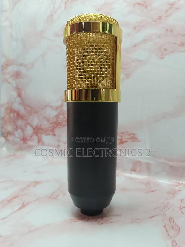High Quality Condenser Microphone photo 2