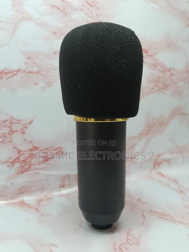 High Quality Condenser Microphone photo 4