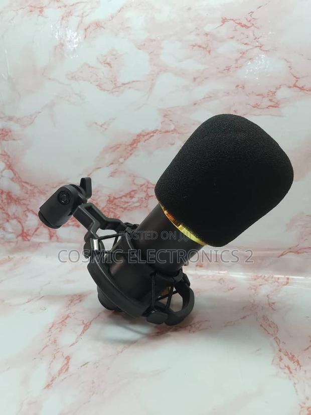 High Quality Condenser Microphone photo 5