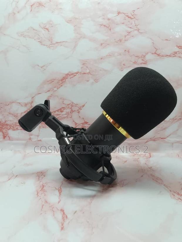 High Quality Condenser Microphone photo 8