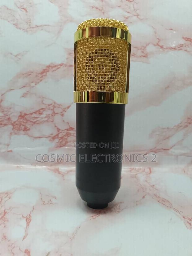 High Quality Condenser Microphone photo 3