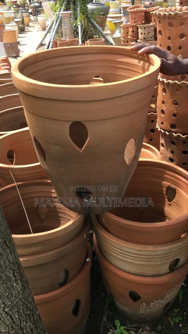 Flower Pots photo 11