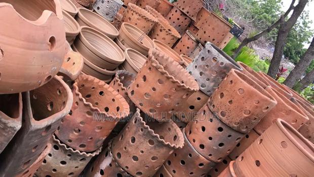 Flower Pot photo 10