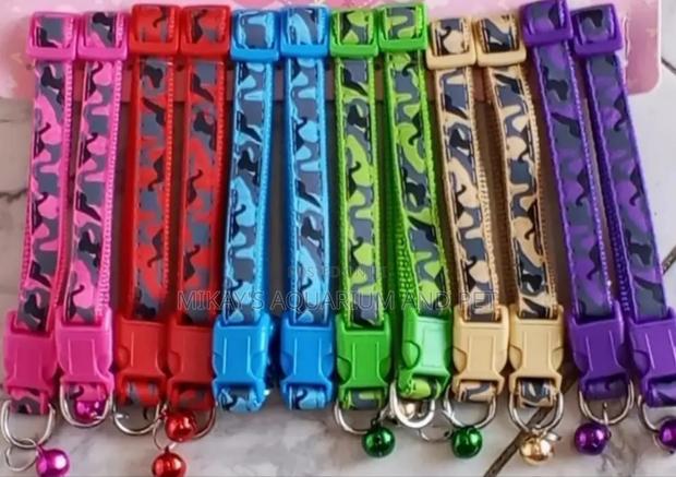 Dog Collars · Photo 2